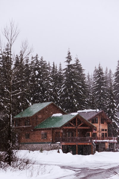 雪地上树木旁的棕色和绿色木屋